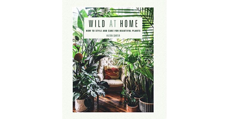 Wild at Home : How to style and care for beautiful plants