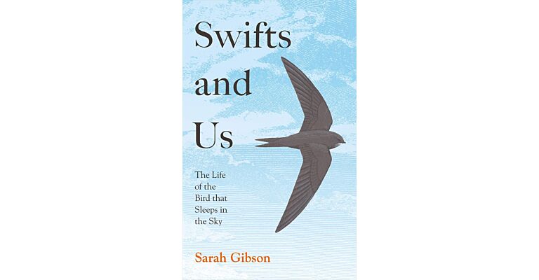 Swifts and Us - The Life of the Bird that Sleeps in the Sky