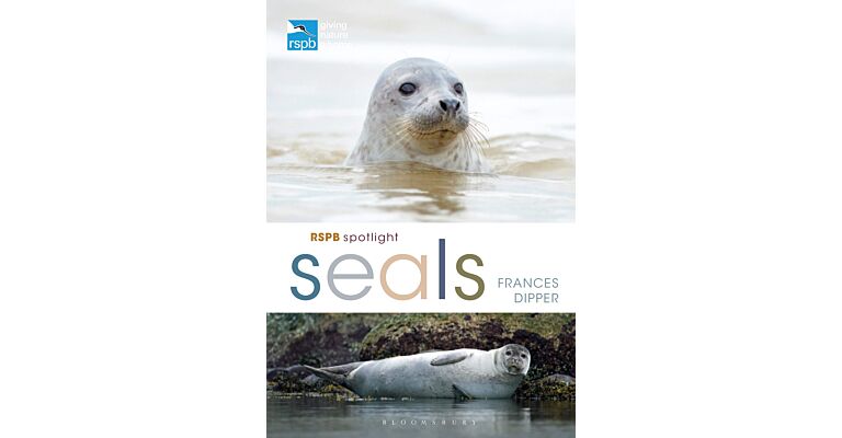 RSPB Spotlight Seals