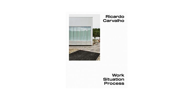 Ricardo Carvalho - Work Situation Process