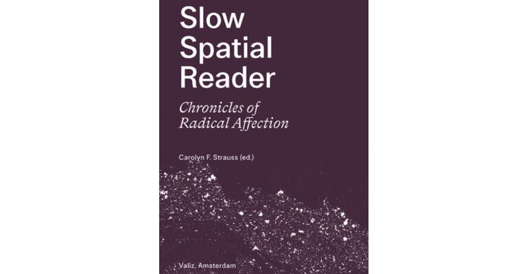Slow Spatial Reader - Chronicles of Radical Affection 