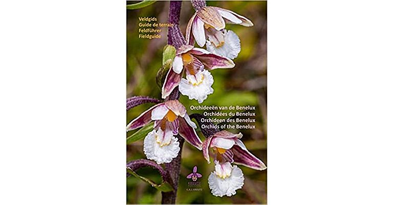 Orchideeën van de Benelux : Veldgids