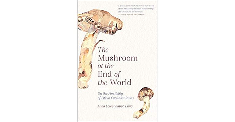 The Mushroom at the End of the World : On the Possibility of Life in Capitalist Ruins