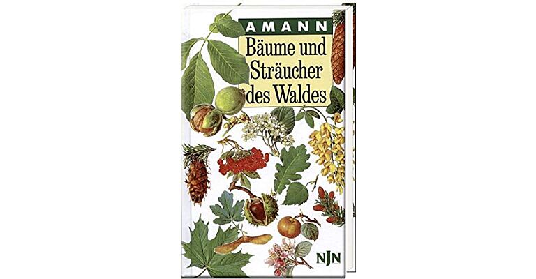 Bäume und Sträucher des Waldes