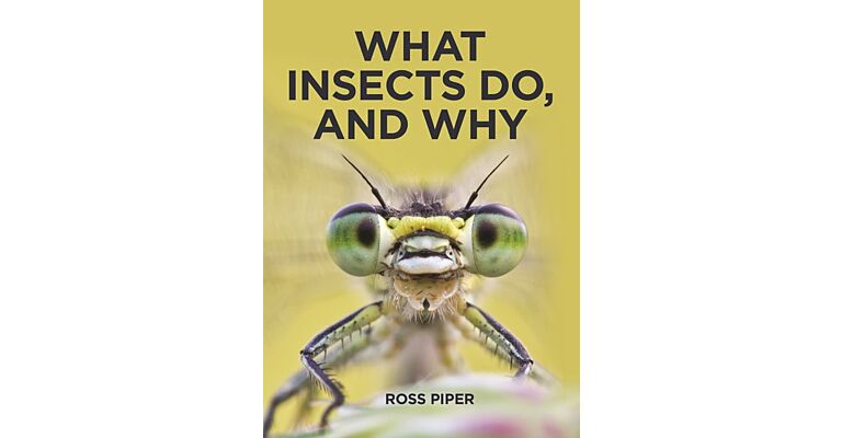 What Insects Do, and Why