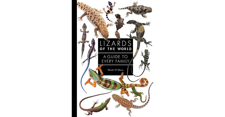 Lizards of the World - A Guide to Every family