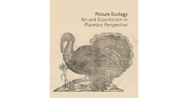 Picture Ecology - Art and Ecocriticism in Planetary Perspective
