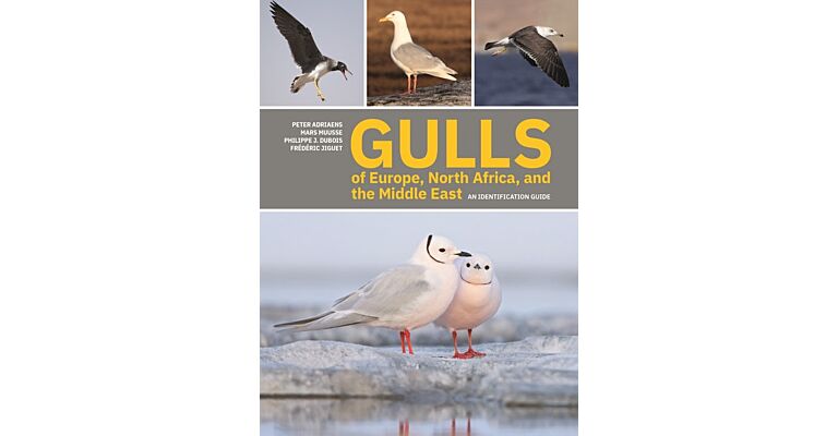 Gulls of Europe, North Africa and the Middle East: An Identification Guide