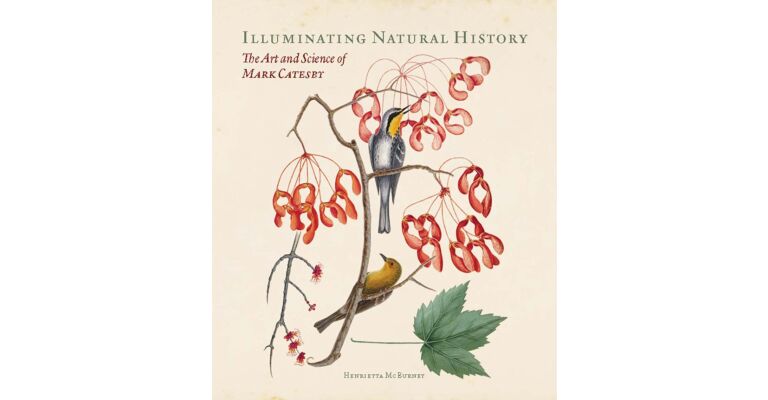 Illuminating Natural History - The Art and Science of Mark Catesby (1683-1749)