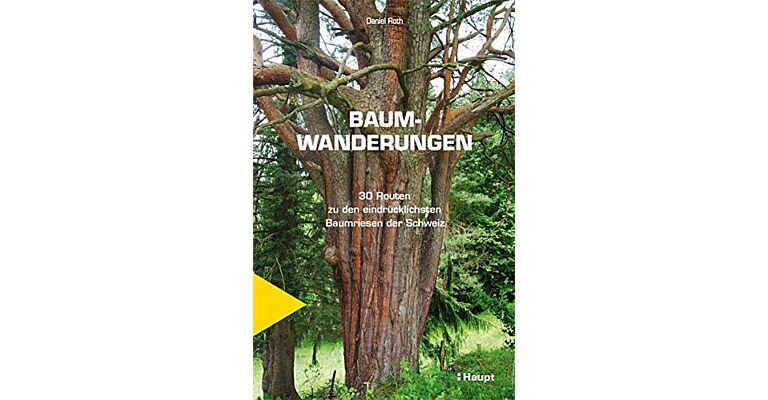 Baumwanderungen - 30 Routen zu den eindrücklichsten Bäumen der Schweiz