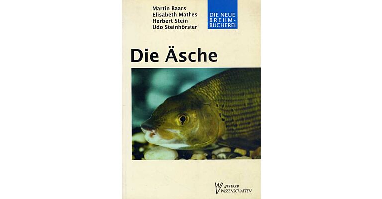 Die Äsche (Thymallus thymallus)
