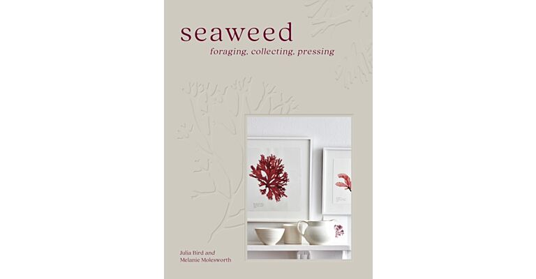 Seaweed : Foraging, Collecting, Pressing
