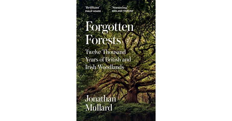 Forgotten Forests : Twelve Thousand Years of British and Irish Woodlands (paperback)