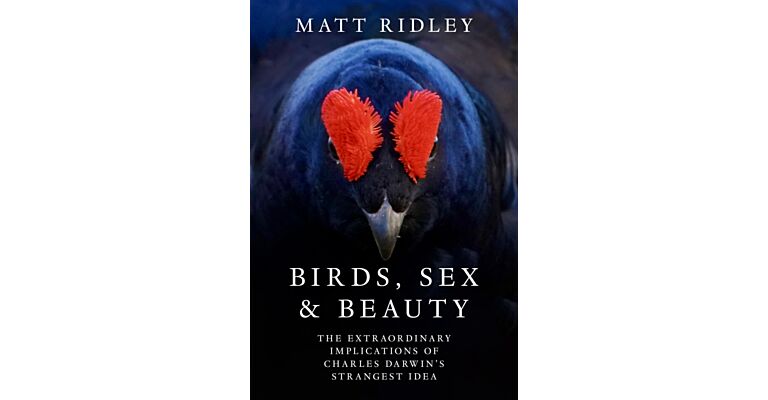 Birds, Sex and Beauty : The extraordinary implications of Charles Darwin's strangest idea (PBK)
