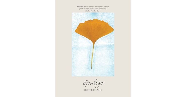 Ginkgo - The Tree That Time Forgot (paperback)