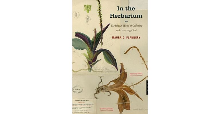 In the Herbarium - The Hidden World of Collecting and Preserving Plants