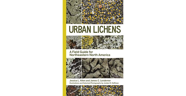 Urban Lichens - A Field Guide for North Eastern North America