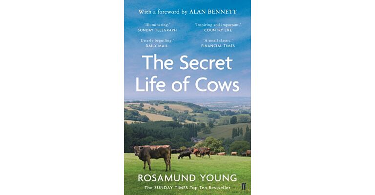 The Secret Lives of Cows (PBK)