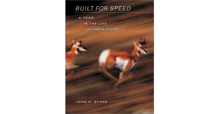 Built for Speed - A Year in the Life of Pronghorn