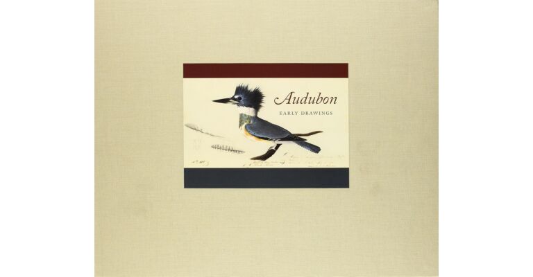 Audubon : Early Drawings