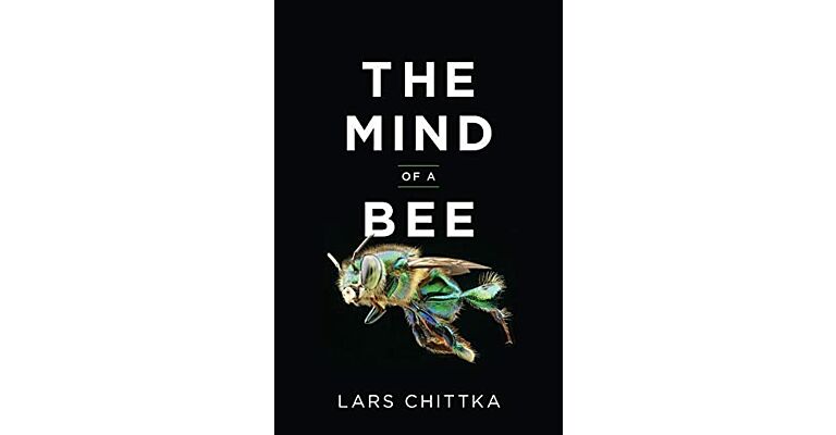 The Mind of a Bee (HBK)