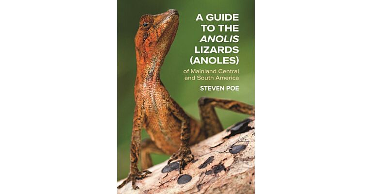 A Guide to the Anolis Lizards (Anoles) of Mainland Central and South America (Pre-order October 2025)