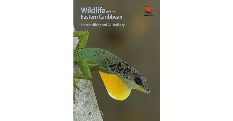 Wildlife of the Eastern Caribbean
