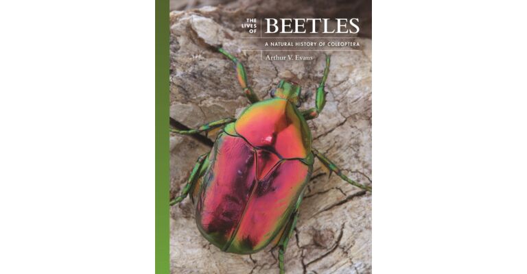 The Lives of Beetles - A Natural History of Coleoptera