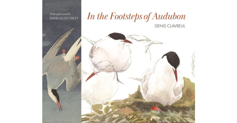 In the Footsteps of  Audubon