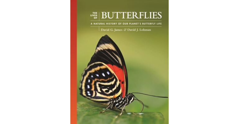 The Lives of Butterflies - 