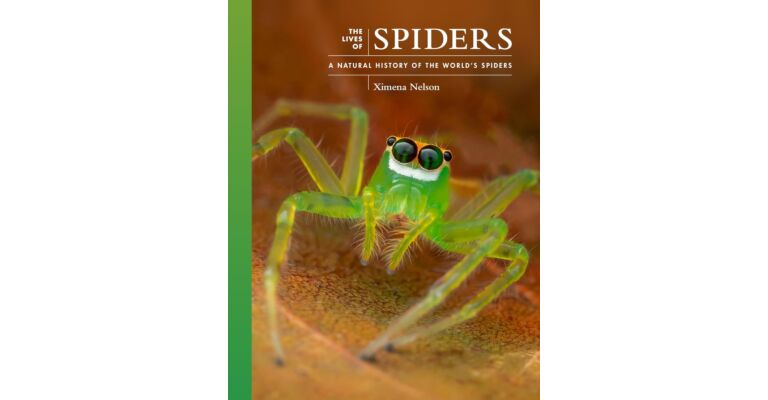 The Lives of Spiders