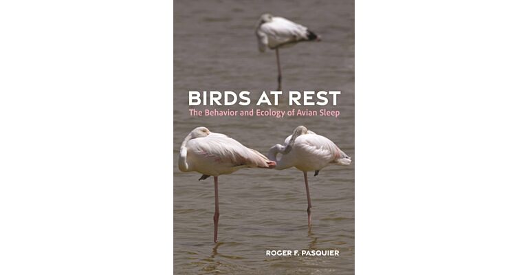 Birds at Rests