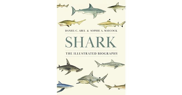 Shark : The Illustrated Biography
