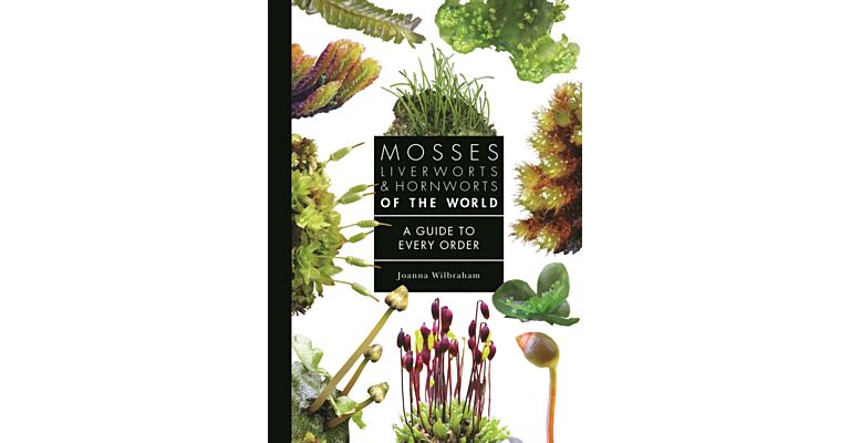 Mosses, Liverworts, and Hornworts of the World : A Guide to Every Order (Pre-order Summer 2025)