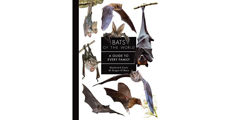 Bats of the World  - A Guide to Every Family