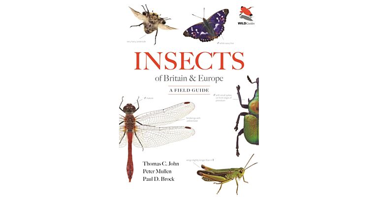 Wild Guides - Insects of Britain and Europe