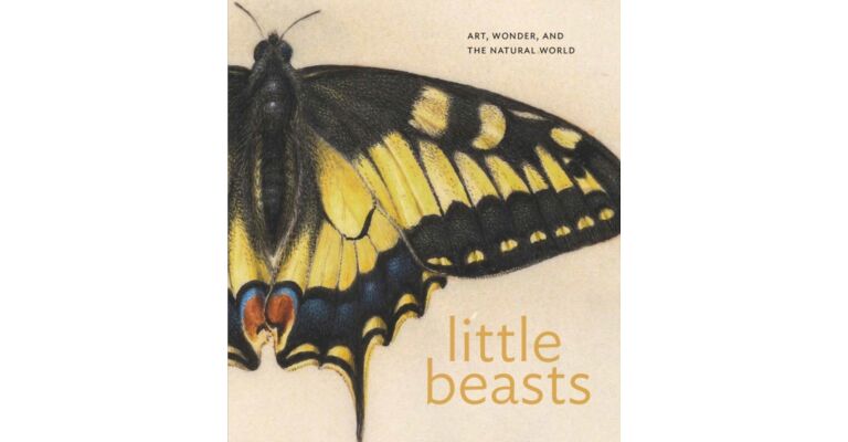 Little Beasts : Art, Wonder, and the Natural World