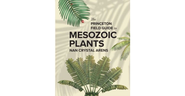 The Princeton Field Guide to Mesozoic Plants (Pre-order October 2025)