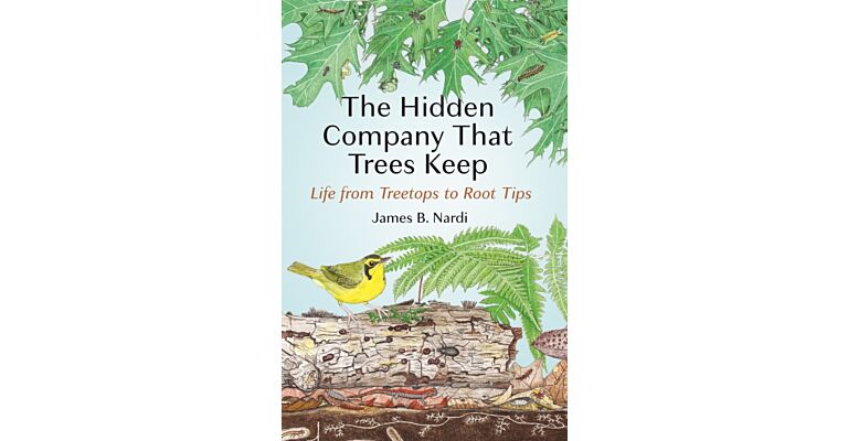 The Hidden Company That Trees Keep : Life from Treetops to Root Tips (PBK Pre-order november 2025)
