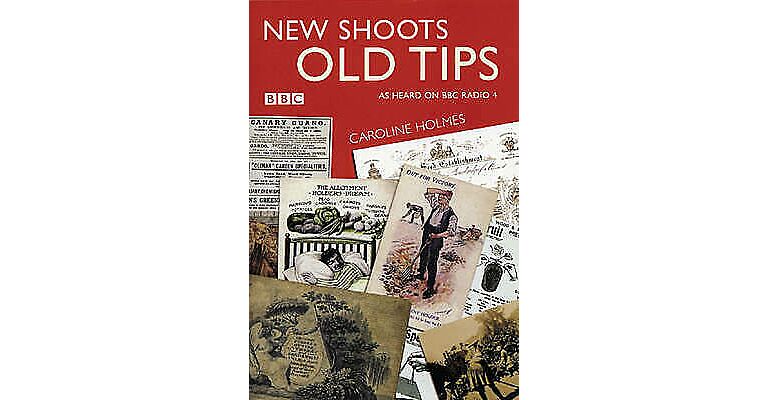 New Shoots Old Tips
