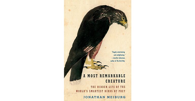 A most Remarkable Creature: The Hidden Life of the World's Smartest Birds of Prey