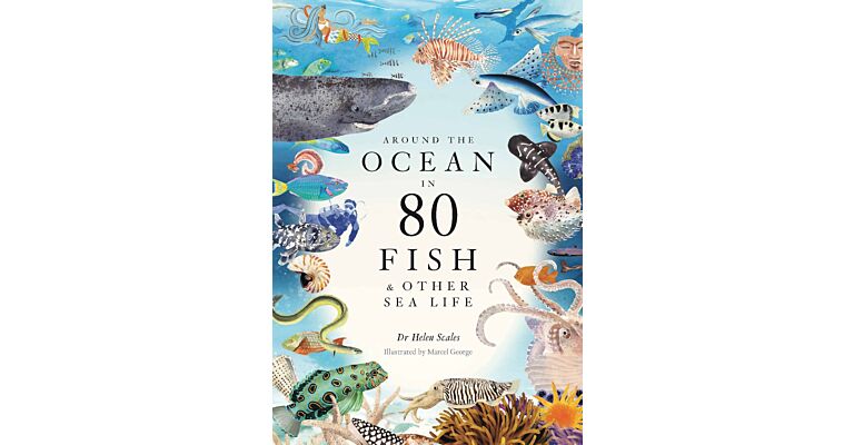 Around the Ocean in 80 Fish & Other Sea Life
