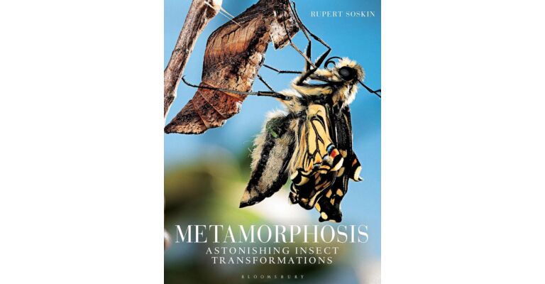 Metamorphosis - Astonishing Insect Transformations