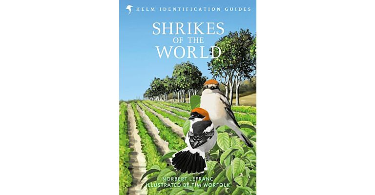 Helm Identification Guides - The Shrikes of the World  (December 2022)