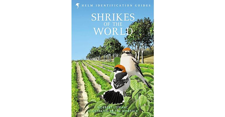 Helm Identification Guides - The Shrikes of the World