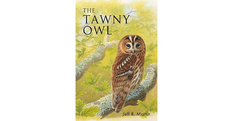 The Tawny Owl (PBK)