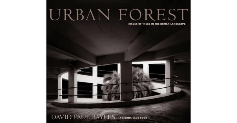 Urban Forest: Images of Trees in the Human Landscape