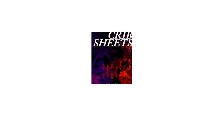 Crib Sheets - Notes On The Contemporary Architectural Conversation