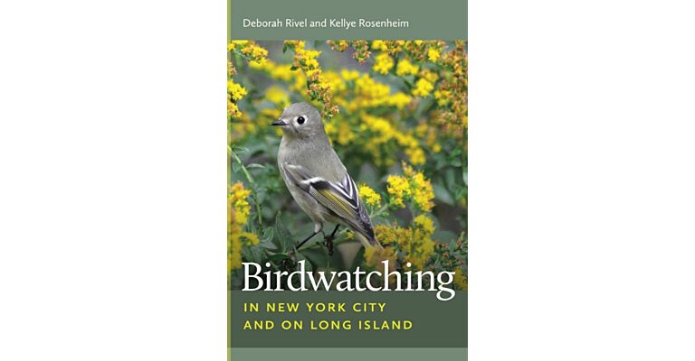 Birdwatching in New York City and Long Island