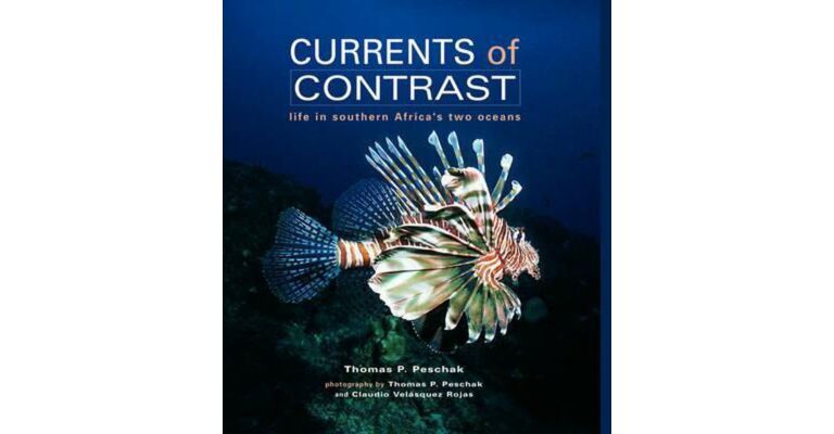 Currents of Contrast - Life in Southern Africa's two Oceans